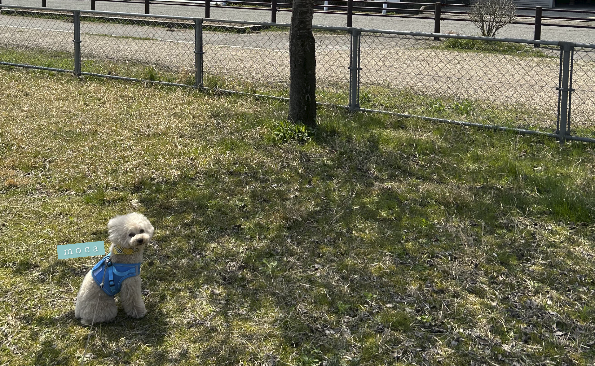 福井のホームぺージ制作　MIクリエイト｜