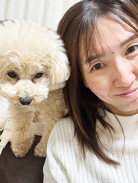 福井のホームぺージ制作 MIクリエイト